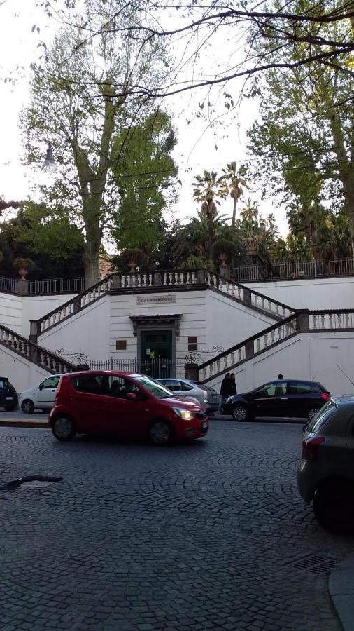 Rarisa Centro Naples